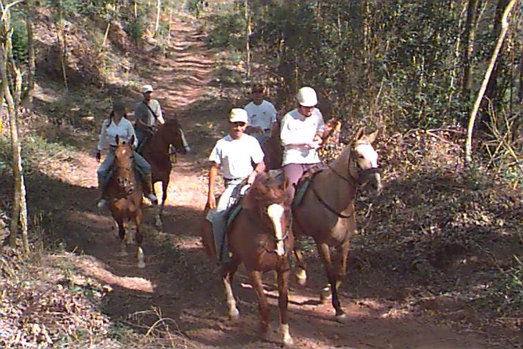 Cavalgada 2