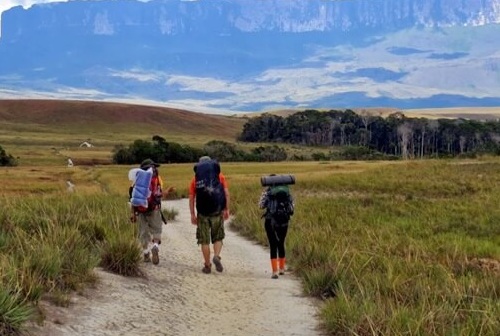 turistas